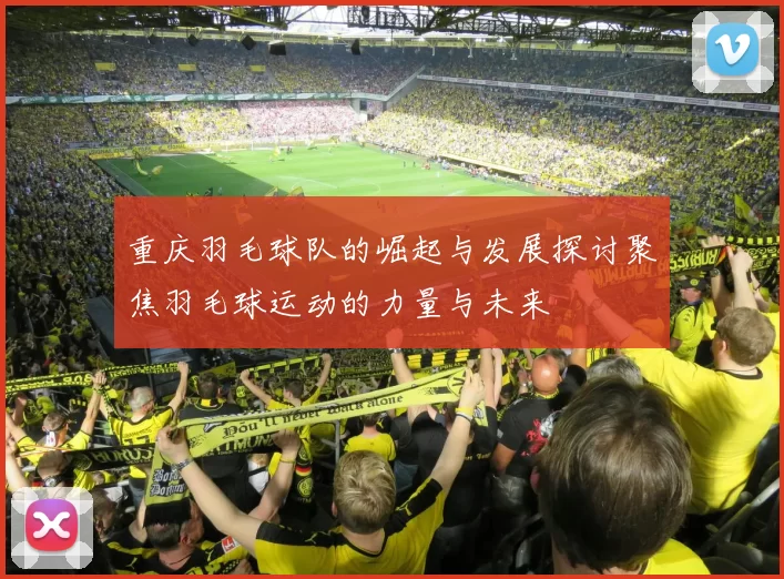 重庆羽毛球队的崛起与发展探讨聚焦羽毛球运动的力量与未来