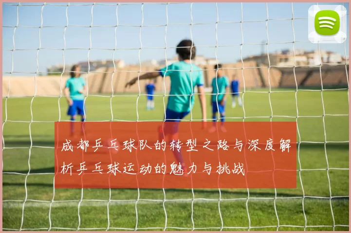 成都乒乓球队的转型之路与深度解析乒乓球运动的魅力与挑战
