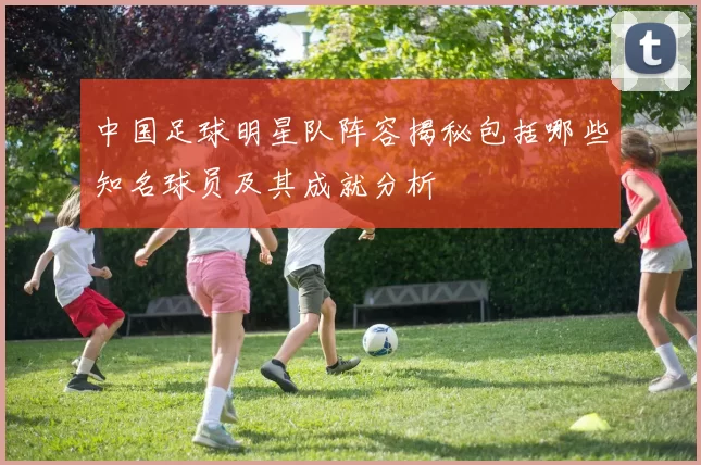 中国足球明星队阵容揭秘包括哪些知名球员及其成就分析