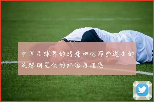 中国足球界的悲痛回忆那些逝去的足球明星们的纪念与追思